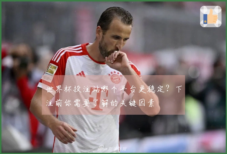 世界杯投注站哪个平台更稳定？下注前你需要了解的关键因素