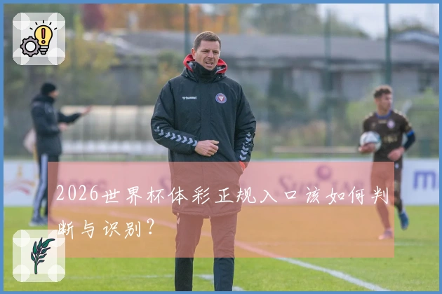2026世界杯体彩正规入口该如何判断与识别？