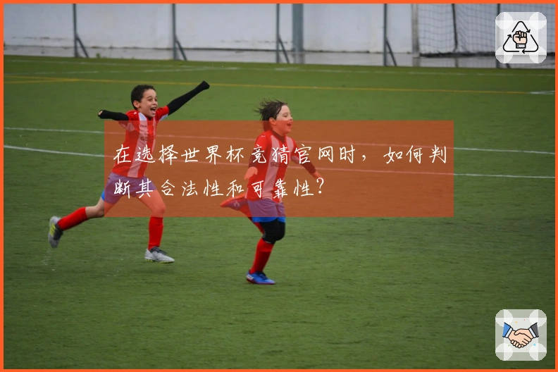 在选择世界杯竞猜官网时，如何判断其合法性和可靠性？