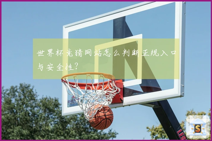 世界杯竞猜网站怎么判断正规入口与安全性？