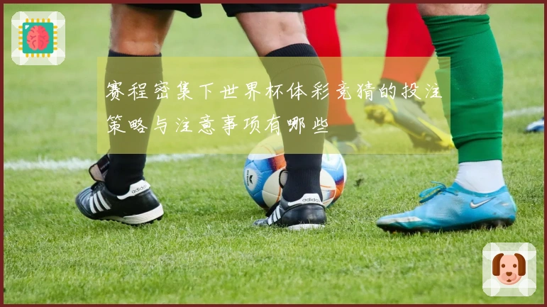 赛程密集下世界杯体彩竞猜的投注策略与注意事项有哪些