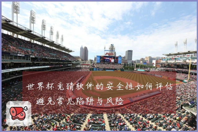 世界杯竞猜软件的安全性如何评估，避免常见陷阱与风险