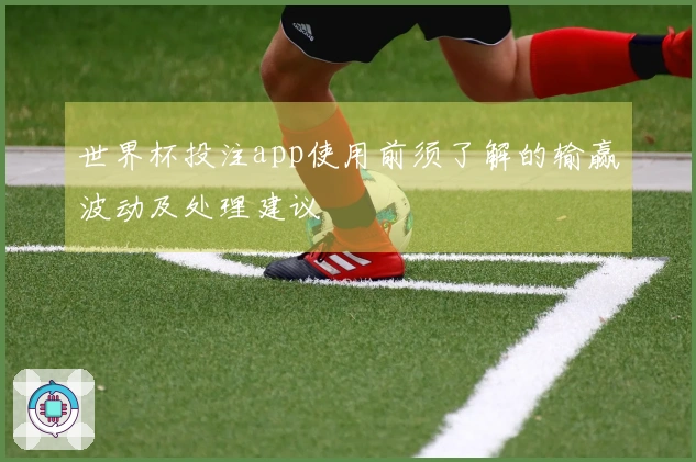 世界杯投注app使用前须了解的输赢波动及处理建议