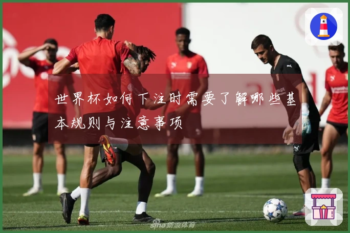 世界杯如何下注时需要了解哪些基本规则与注意事项