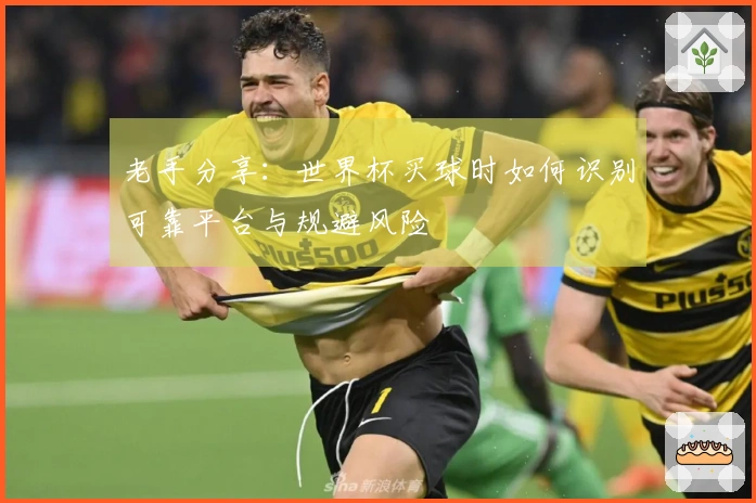 老手分享：世界杯买球时如何识别可靠平台与规避风险
