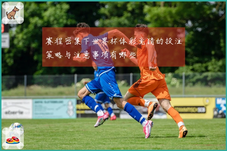 赛程密集下世界杯体彩竞猜的投注策略与注意事项有哪些