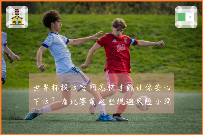 世界杯投注官网怎样才能让你安心下注？看比赛前这些规避风险小窍门