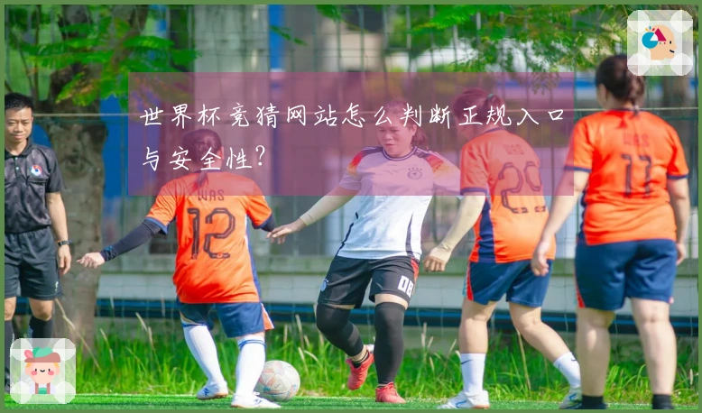世界杯竞猜网站怎么判断正规入口与安全性？