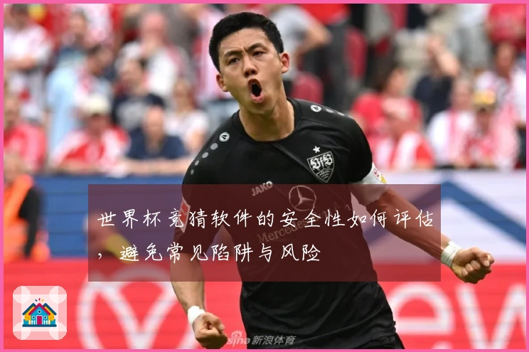 世界杯竞猜软件的安全性如何评估，避免常见陷阱与风险