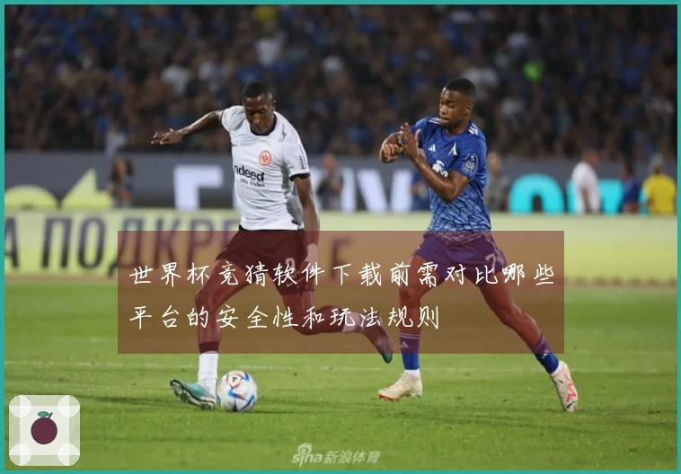 世界杯竞猜软件下载前需对比哪些平台的安全性和玩法规则