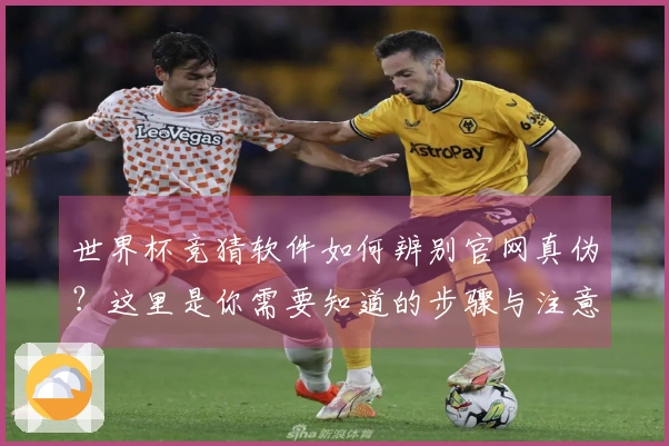 世界杯竞猜软件如何辨别官网真伪？这里是你需要知道的步骤与注意事项
