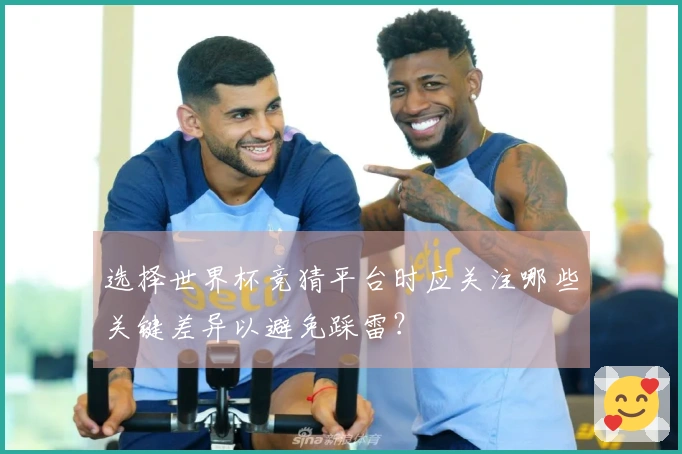 选择世界杯竞猜平台时应关注哪些关键差异以避免踩雷？