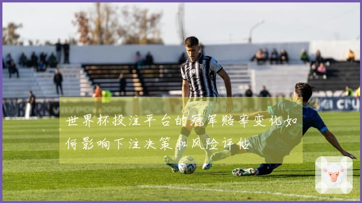 世界杯投注平台的冠军赔率变化如何影响下注决策和风险评估