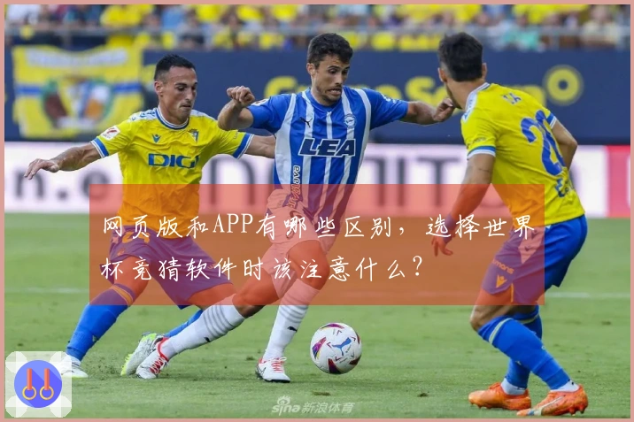 网页版和APP有哪些区别，选择世界杯竞猜软件时该注意什么？